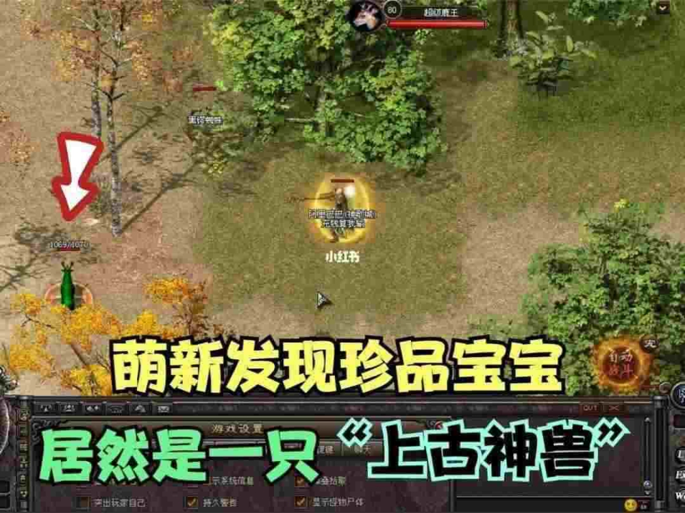 仿盛大传奇带麻痹复活法师单挑三个战士的经历